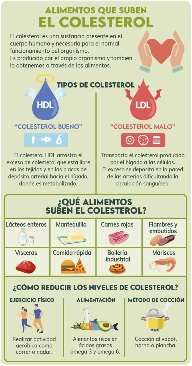 ¿Qué alimentos potencian el colesterol bueno?