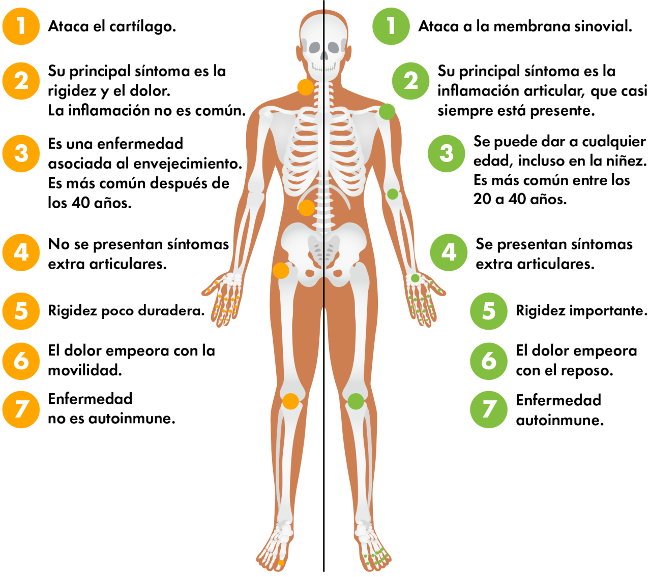 Artrosis, artritis y otras enfermedades de los huesos
