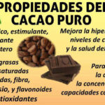 Chocolate: Propiedades Y Beneficios Para La Salud