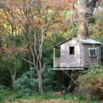 Construye tu propia casa en un árbol