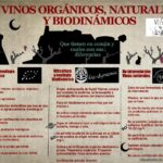 Diferencias entre un vinos ecológicos, biodinámicos y naturales