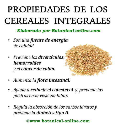Las 7 ventajas de consumir cereales integrales