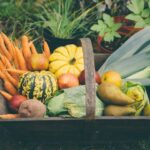 Las frutas y verduras que debes comer en otoño