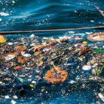 La isla de plásticos del Pacífico sigue creciendo y aumen...