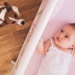Mascotas y bebés: ¿cómo facilitar la convivencia?